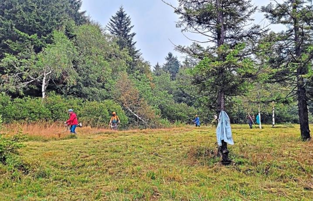 Mäharbeiten auf der Oberbreitenau – Gemeinsam für den Naturschutz