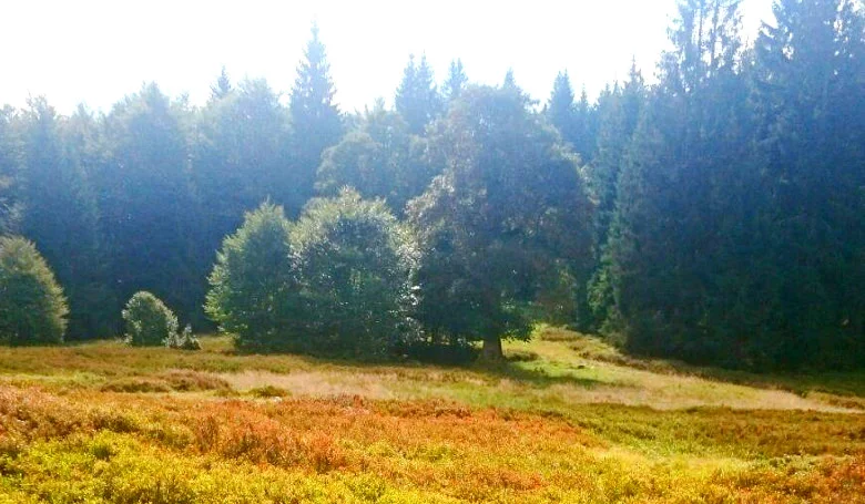 Schachtenhausfest & Sternwanderung
